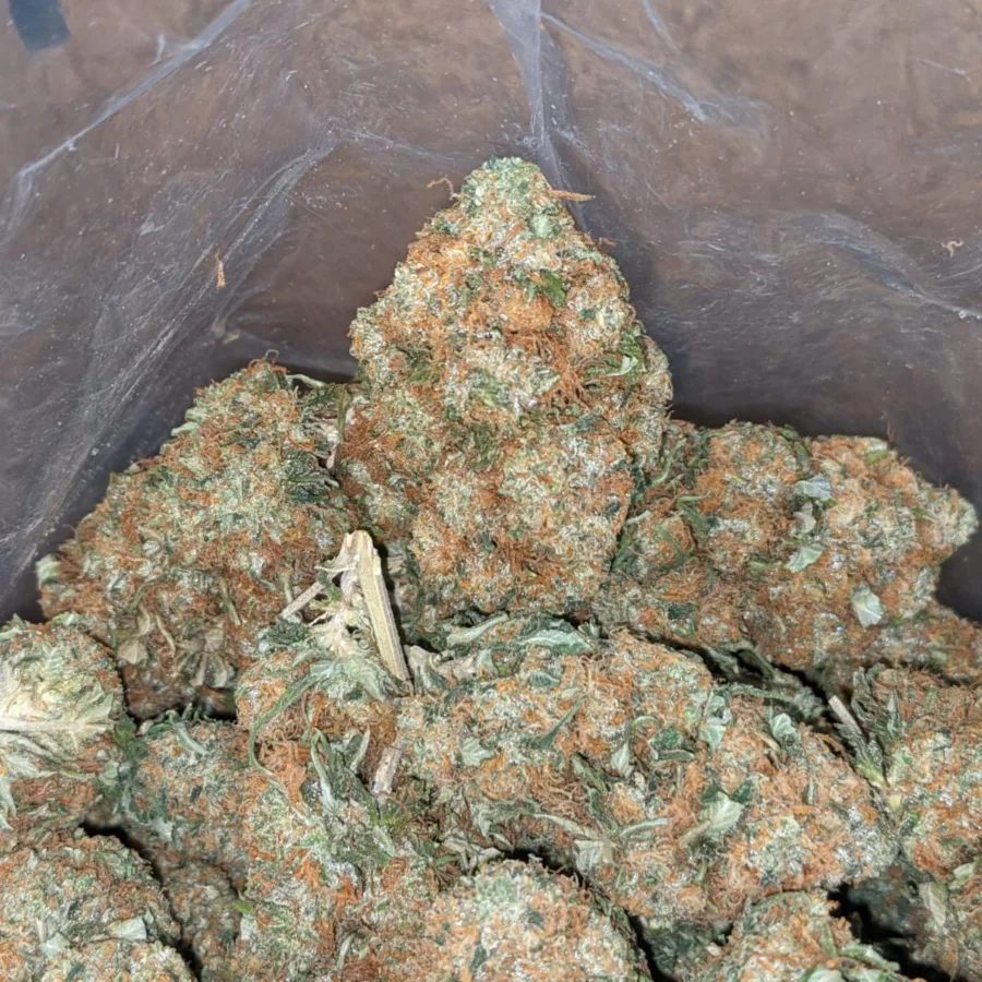 Hindu Kush - Image 3
