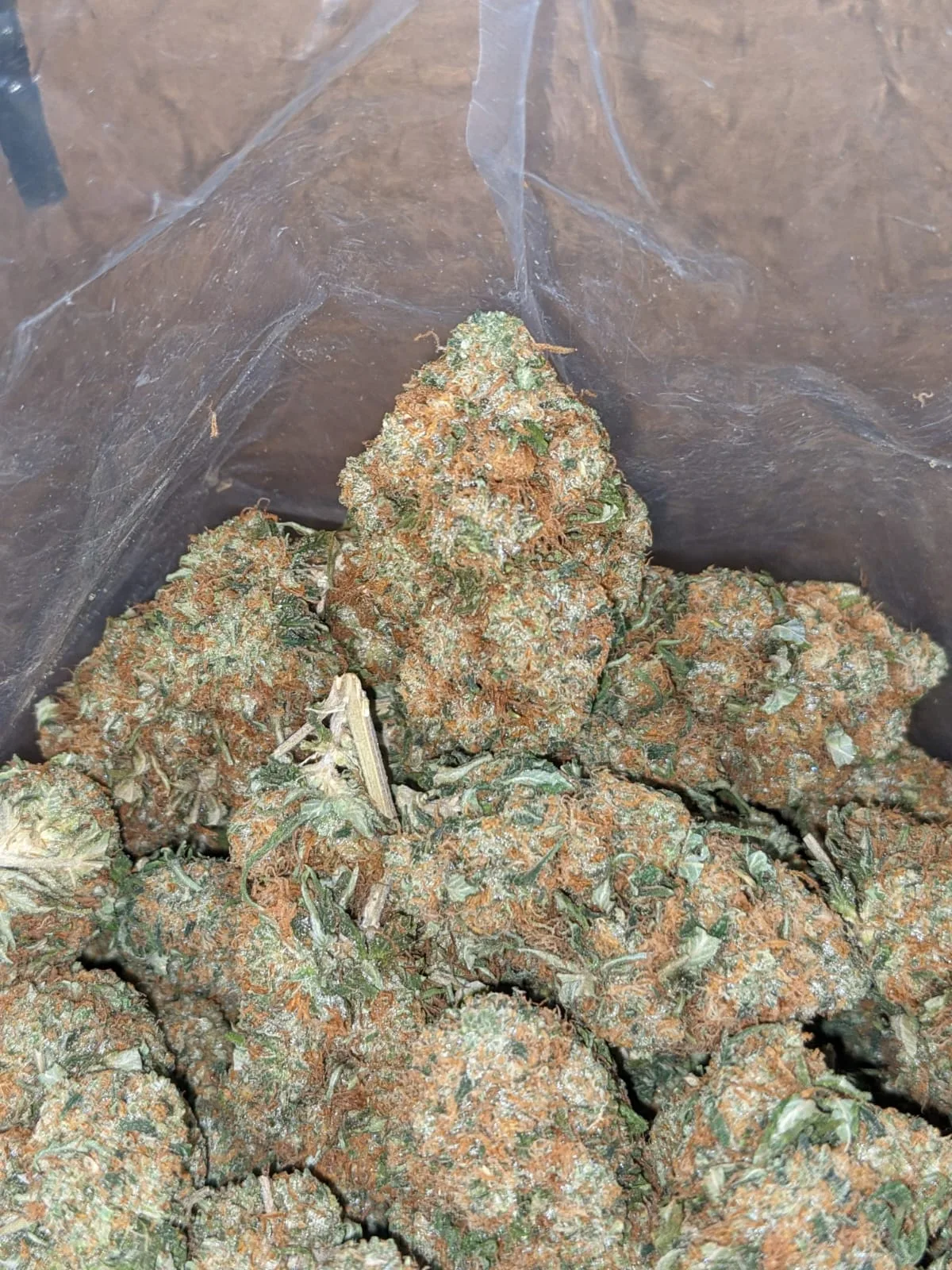 Hindu Kush - Image 3