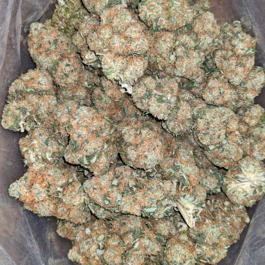 Hindu Kush