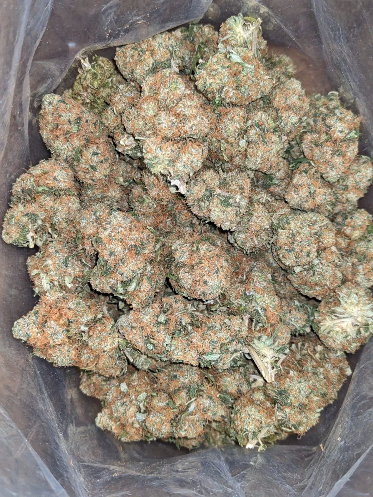 Hindu Kush