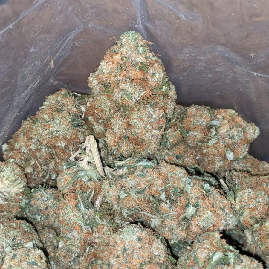 Alternative view of Hindu Kush