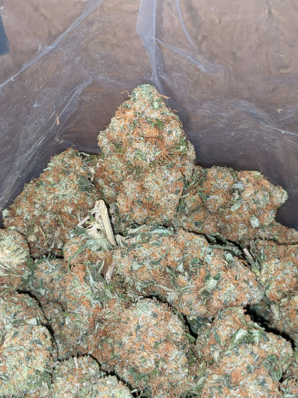 Hindu Kush - Image 2