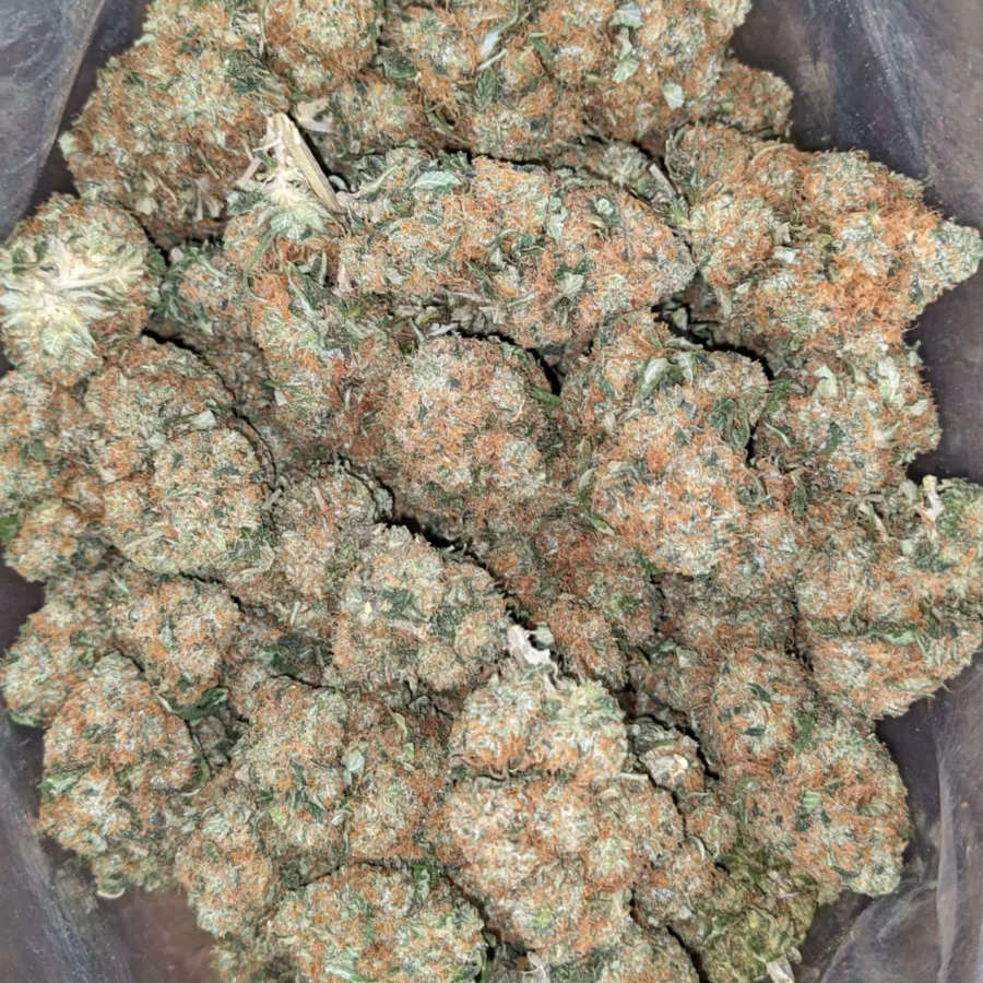 Hindu Kush - Image 5