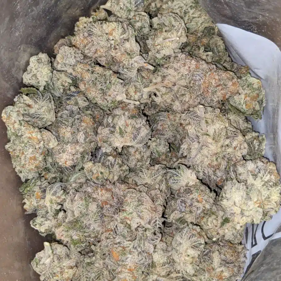 Jack Herer 1 1 I Jack Herer