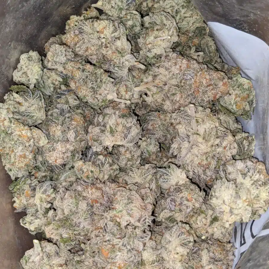 Jack Herer