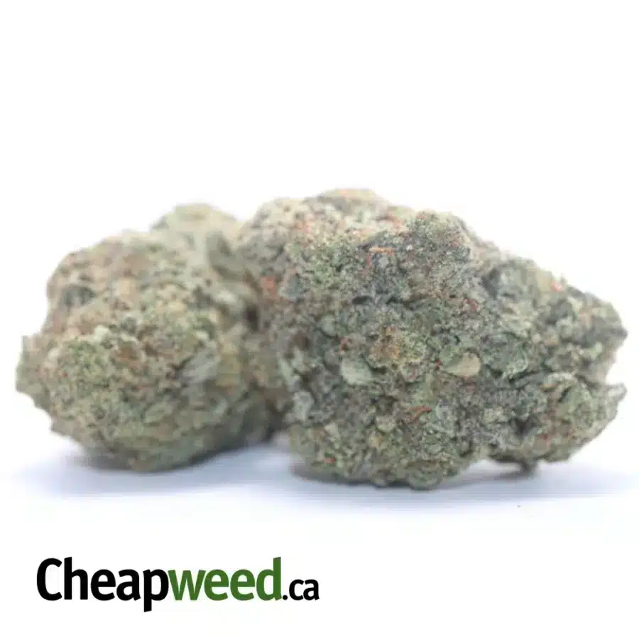 Alternative view of Kush Mints