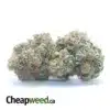Lemon Haze