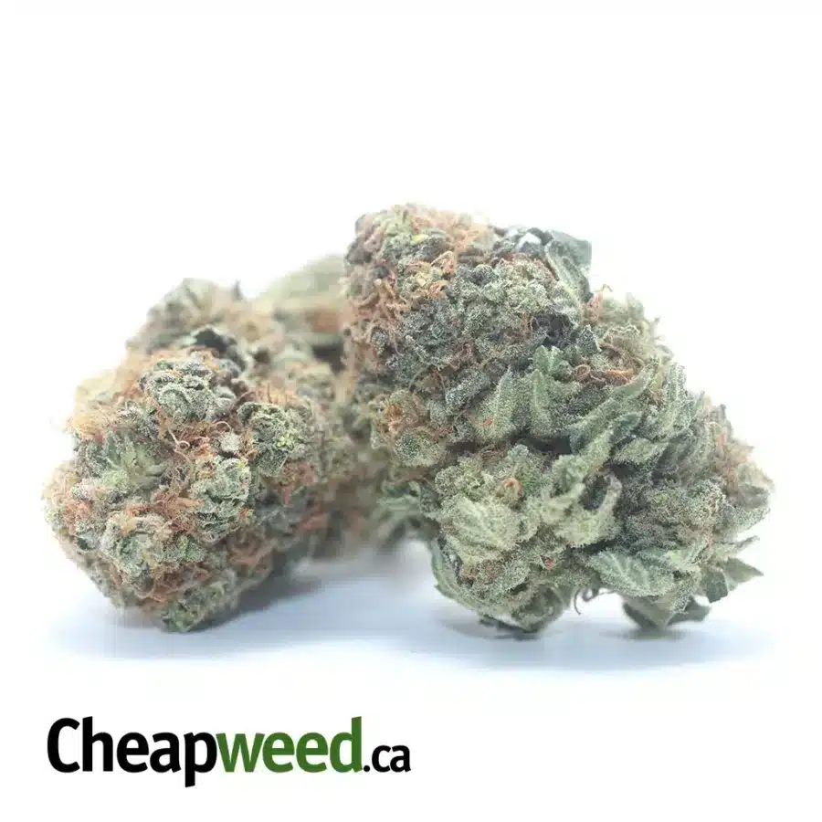 Alternative view of Lemon Haze