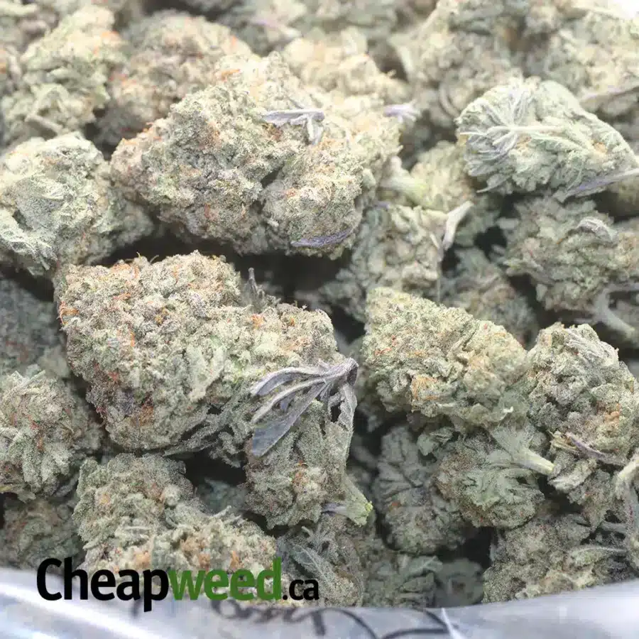 LUCKY CHARMS 1 I $ 47 Oz - Lucky Charms