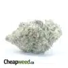 $ 47 Oz - Lucky Charms
