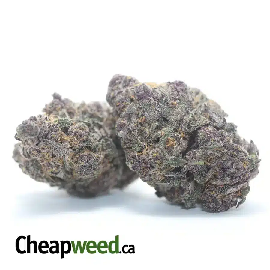 Alternative view of Mendo Purple