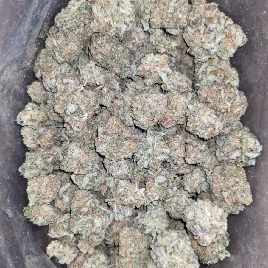 Miracle Alien Cookies 2 1 I Miracle Alien Cookies