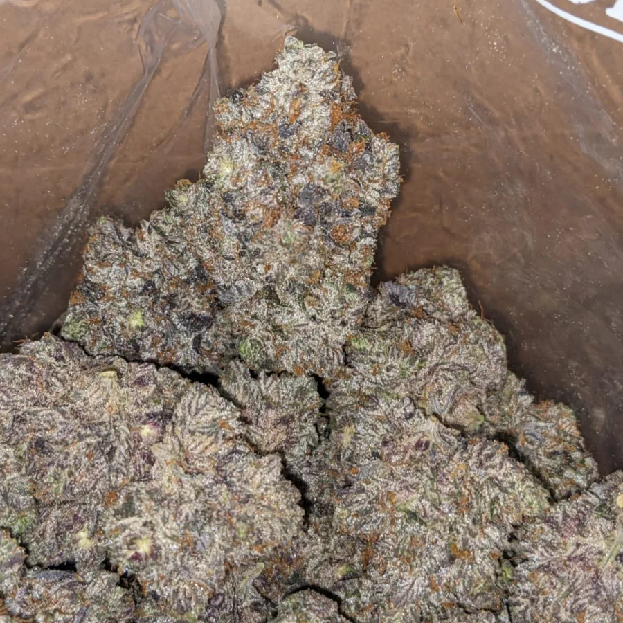 MK Ultra AAAA - Image 4