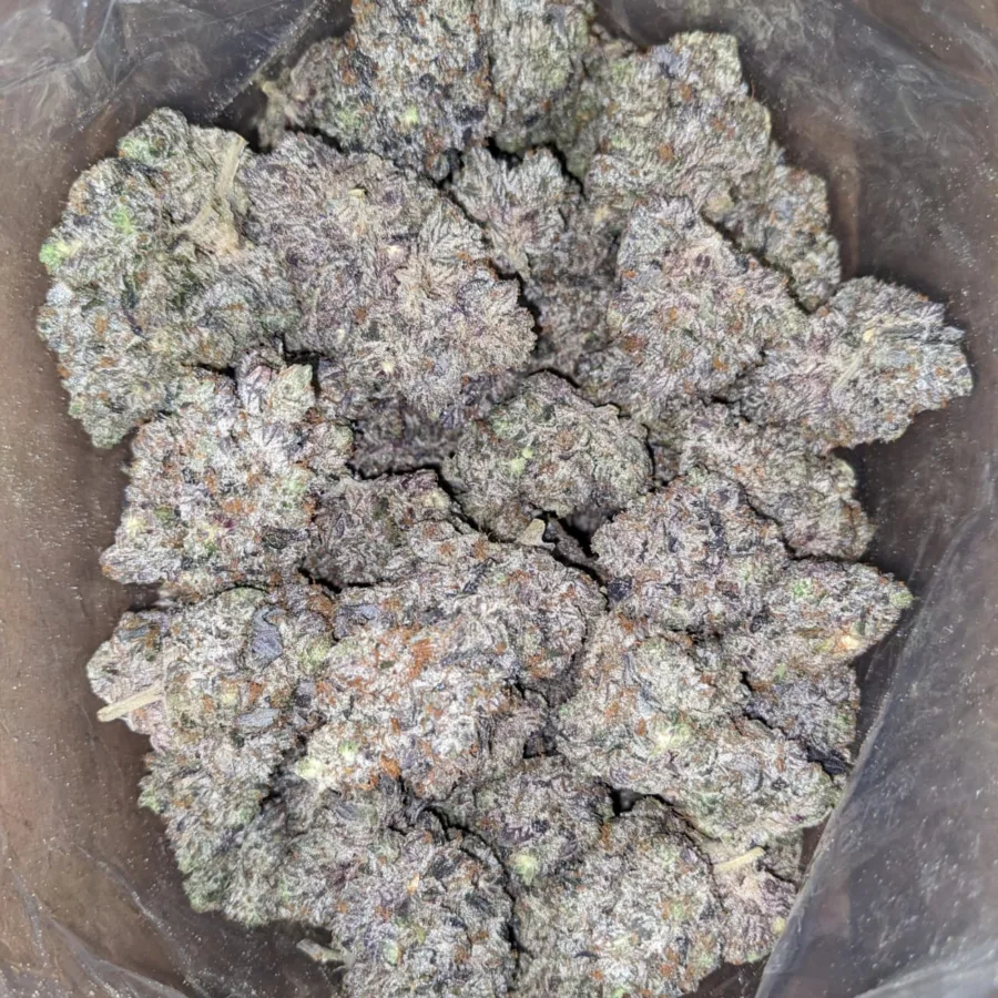 MK Ultra AAAA - Image 6