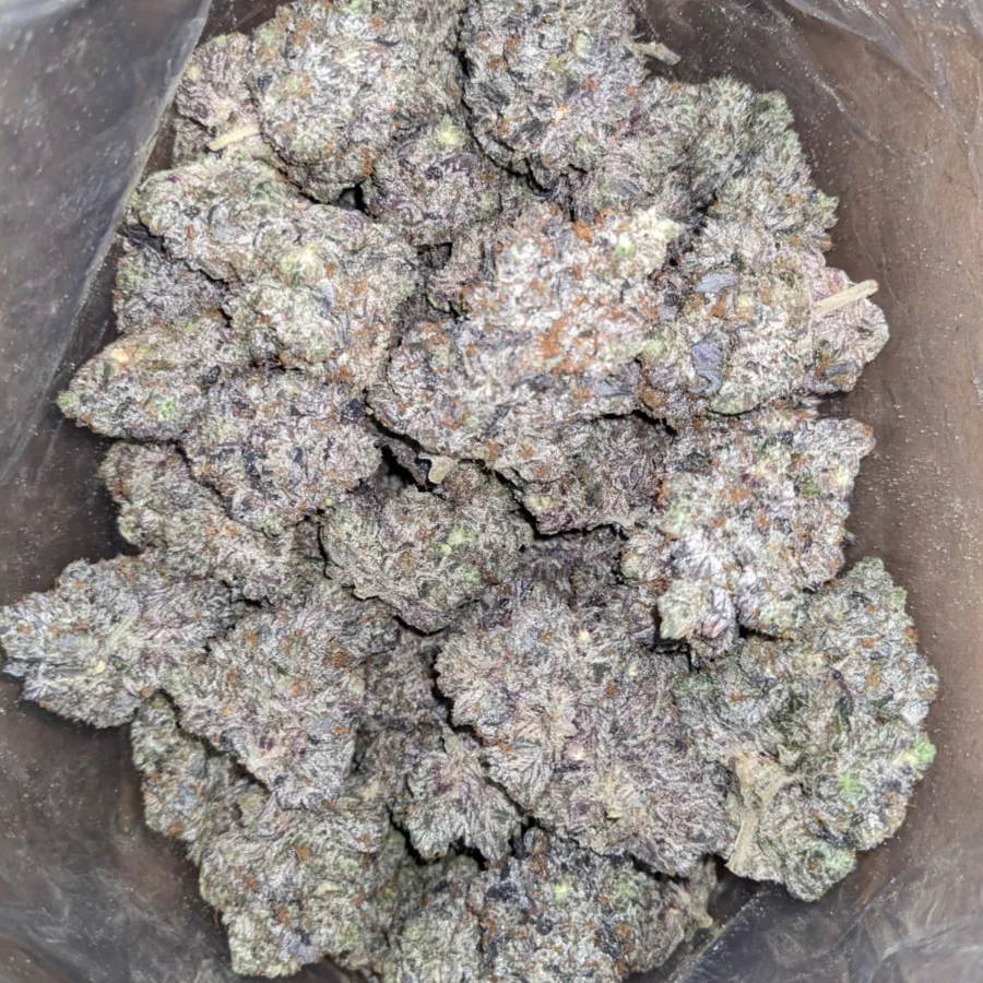 MK Ultra AAAA - Image 7