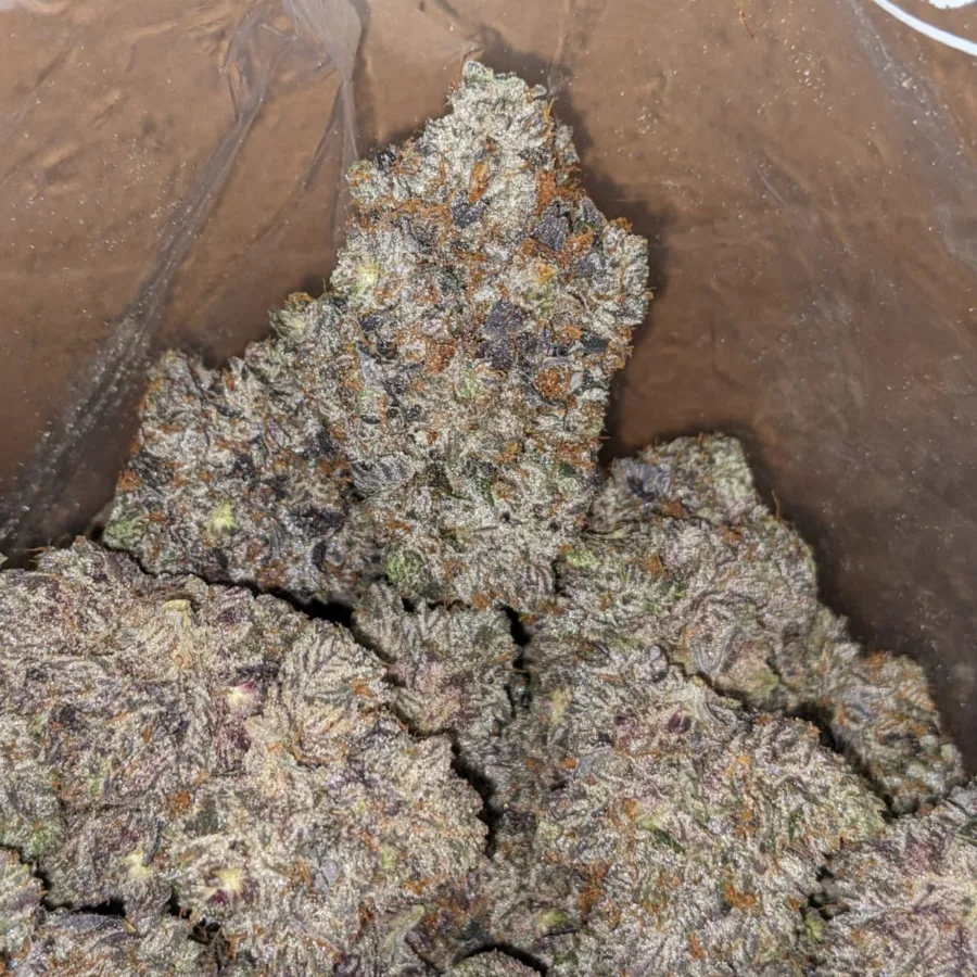 MK Ultra AAAA - Image 5