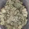 Northern Lights