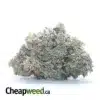 Obama Kush AAAA
