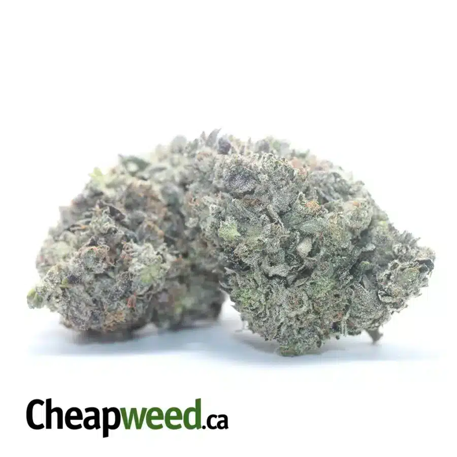 Alternative view of Obama Kush AAAA
