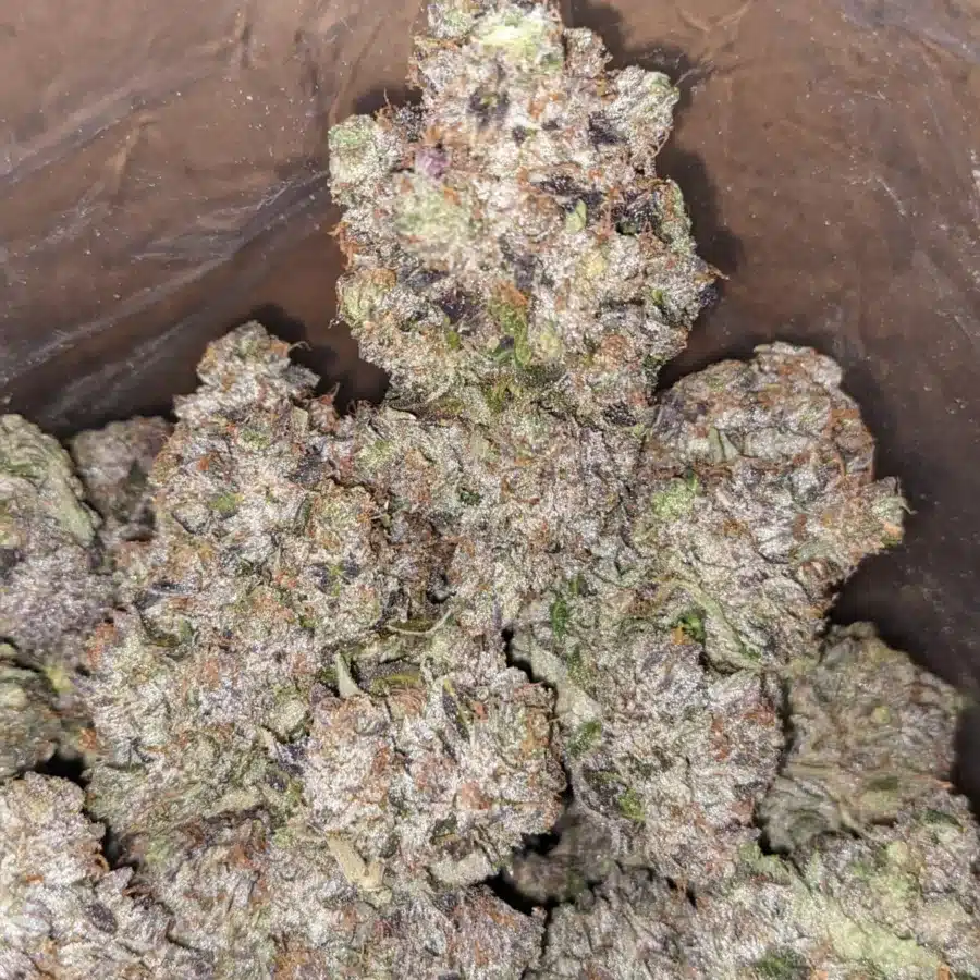Alternative view of Obama Kush AAAA