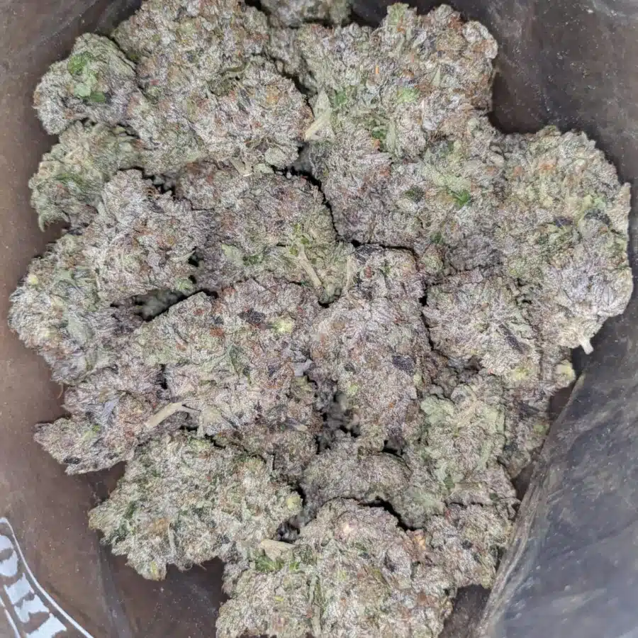 Obama Kush AAAA - Image 7