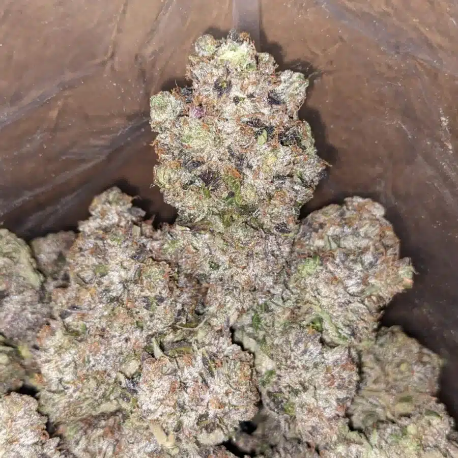 Obama Kush AAAA - Image 6