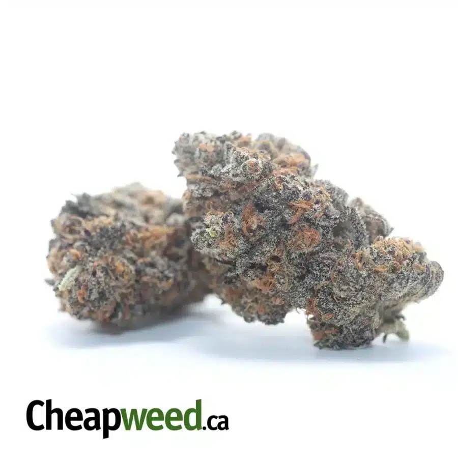 Alternative view of Peanut Butter Breath