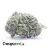 Pink Kush - *Deal Of The Day*