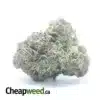 Platinum Pink