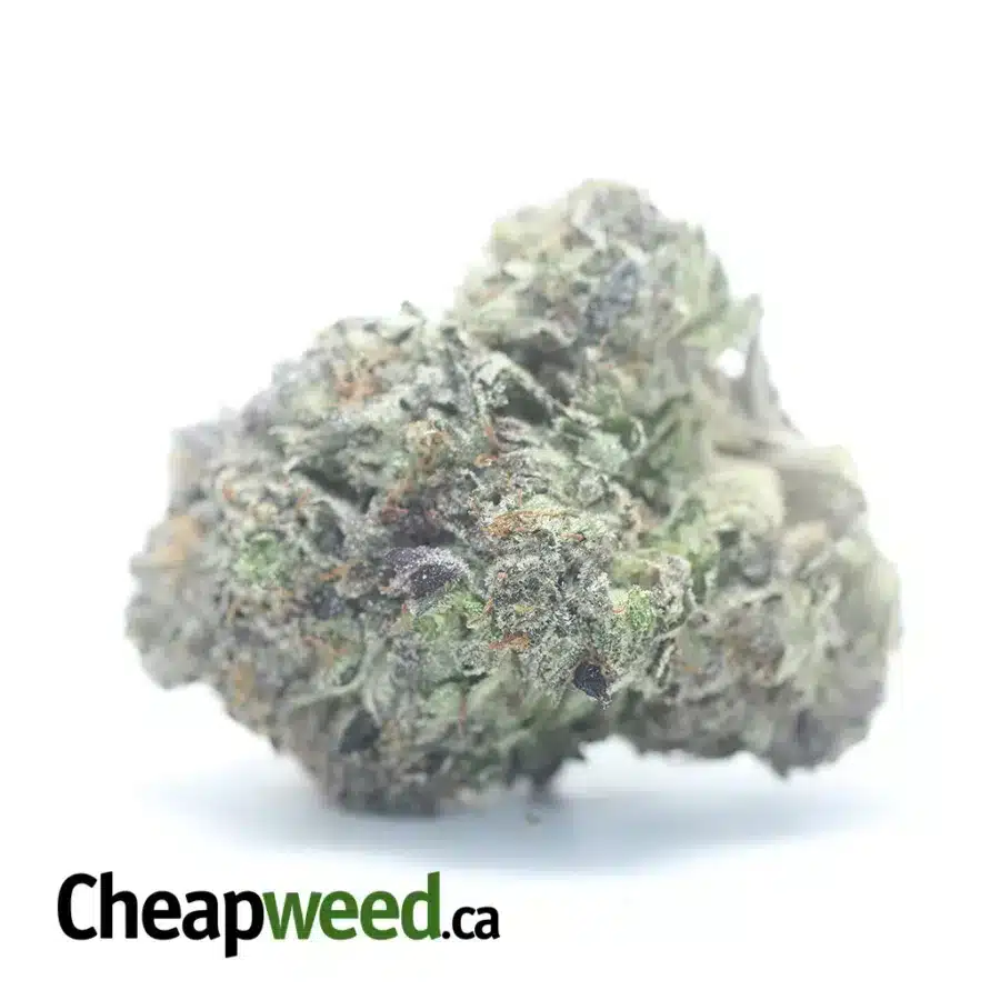Platinum Pink