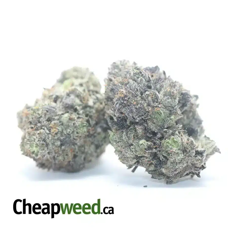 Alternative view of Platinum Pink
