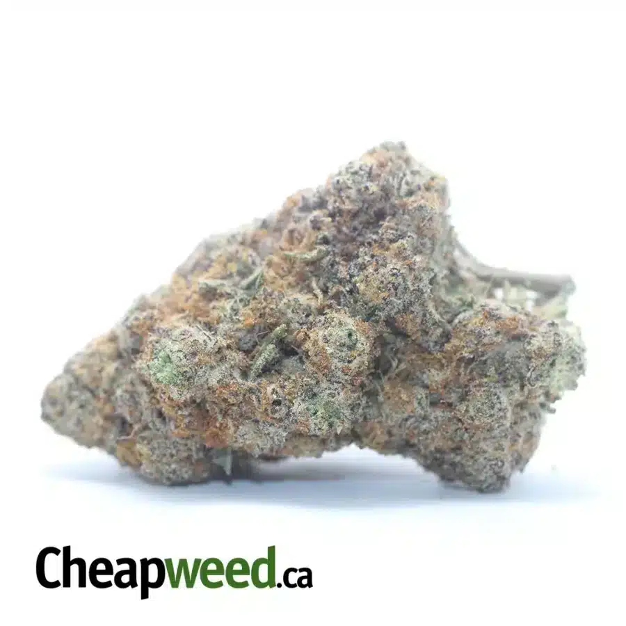 Purple Acai Berry