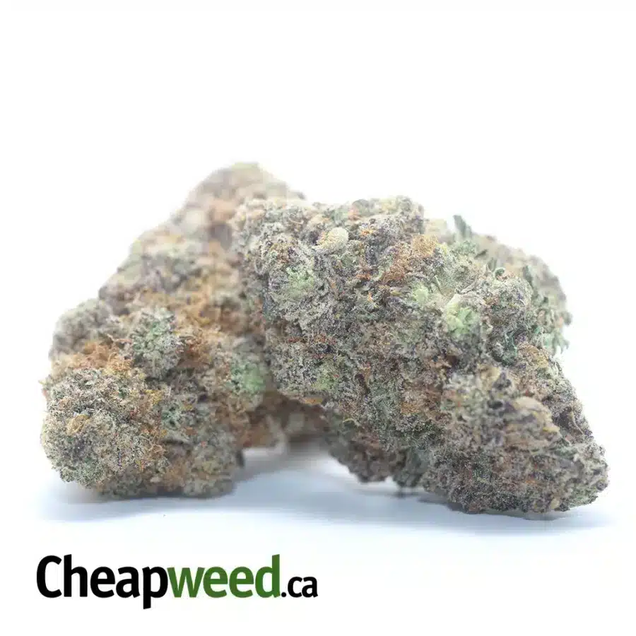 Alternative view of Purple Acai Berry