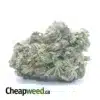 Purple Afghani Bullrider