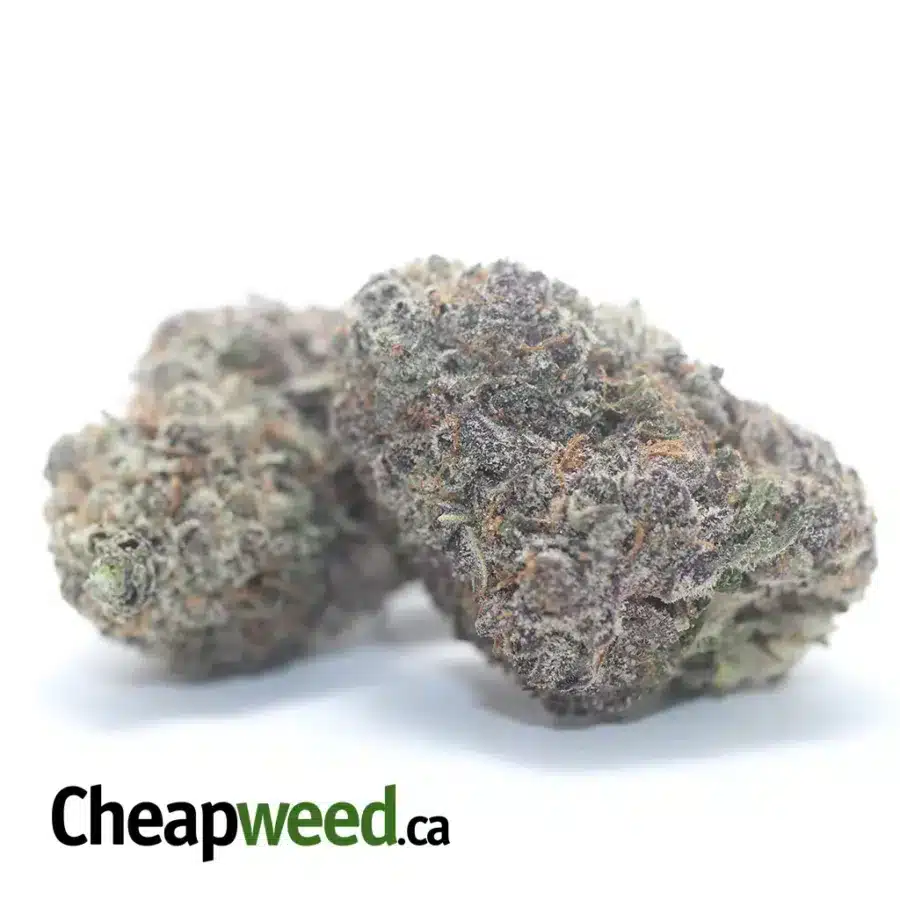 Alternative view of Purple God