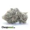 Purple Punch
