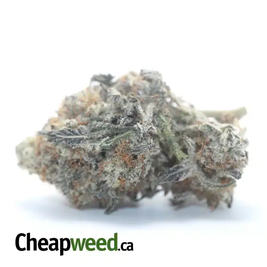 Purple Punch