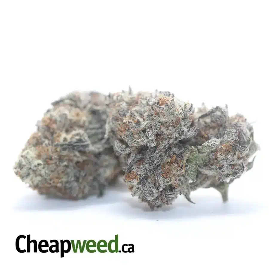 Alternative view of Purple Punch
