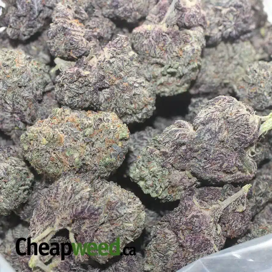 PURPLE SPACE COOKIES 1 I Purple Space Cookies