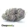 Purple Space Cookies
