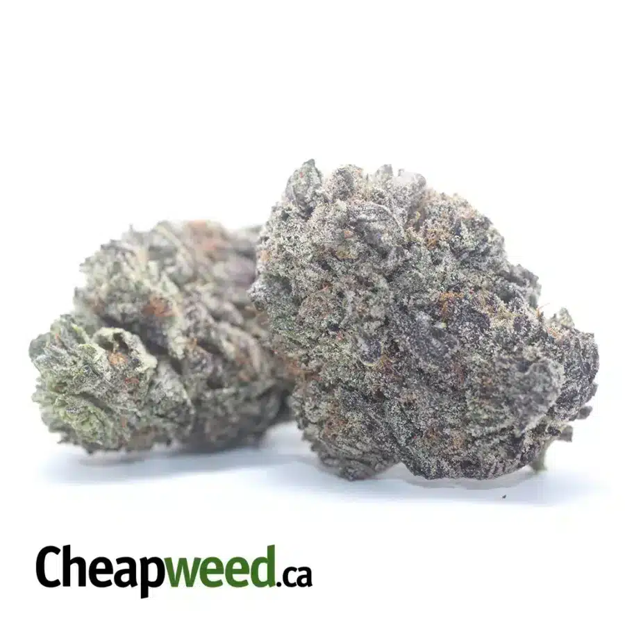 Alternative view of Purple Space Cookies