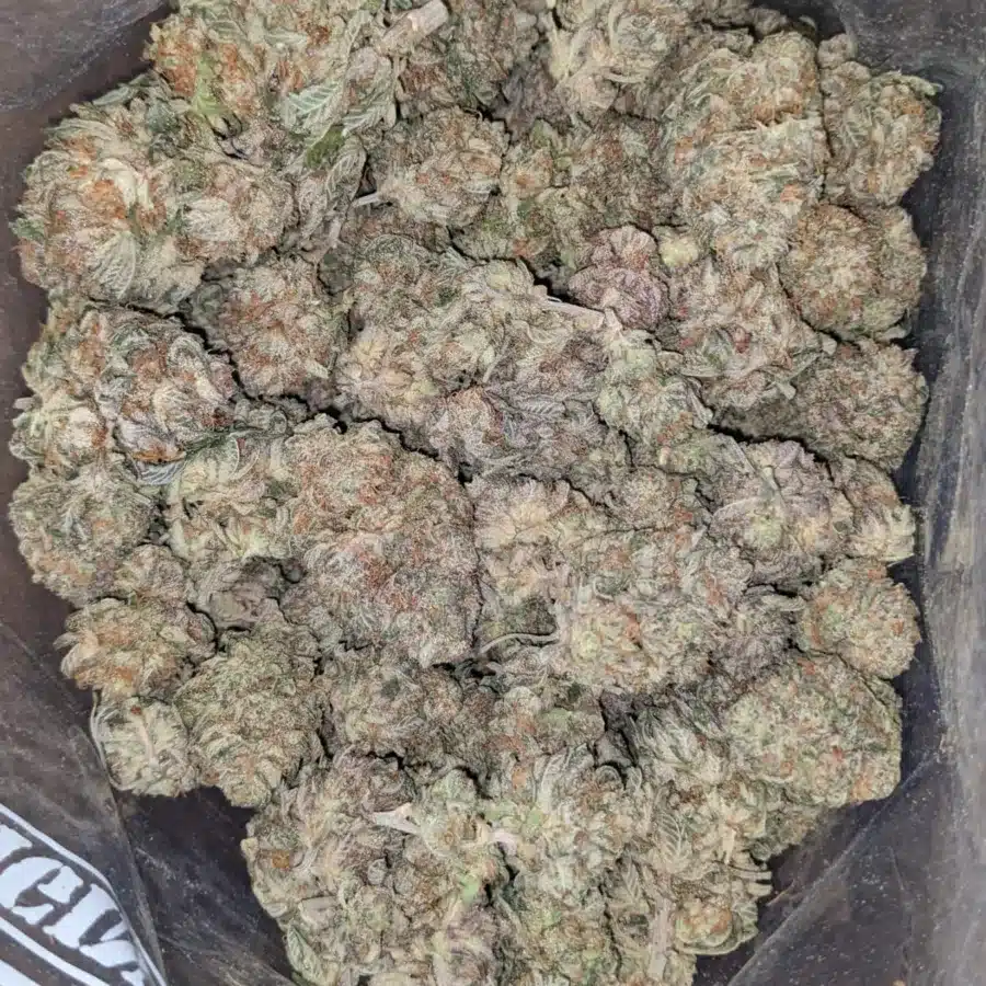 Alternative view of Peanut Butter Breath