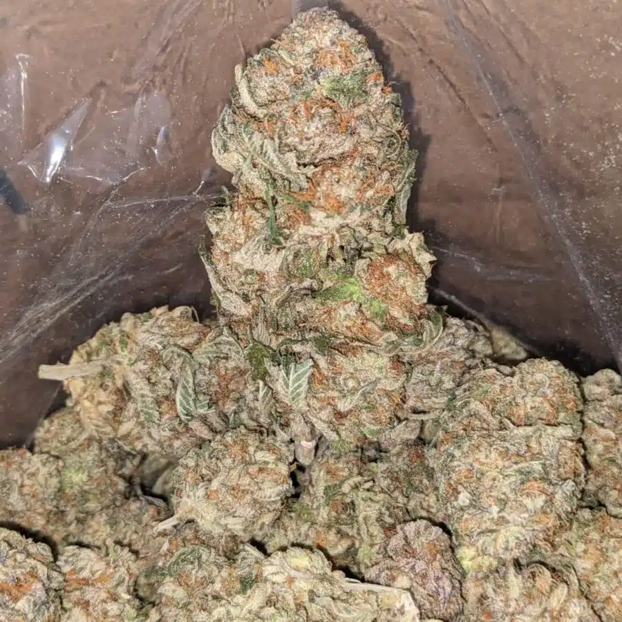 Peanut Butter Breath 3 1 I Peanut Butter Breath