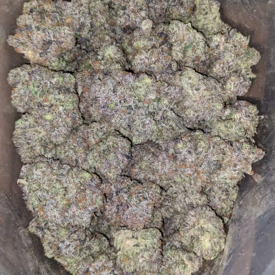 Alternative view of Pink Death AAAA