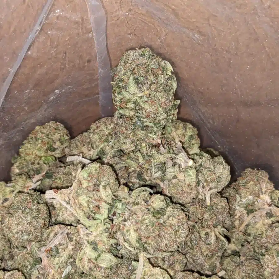 Pink Kush 3 I Pink Kush