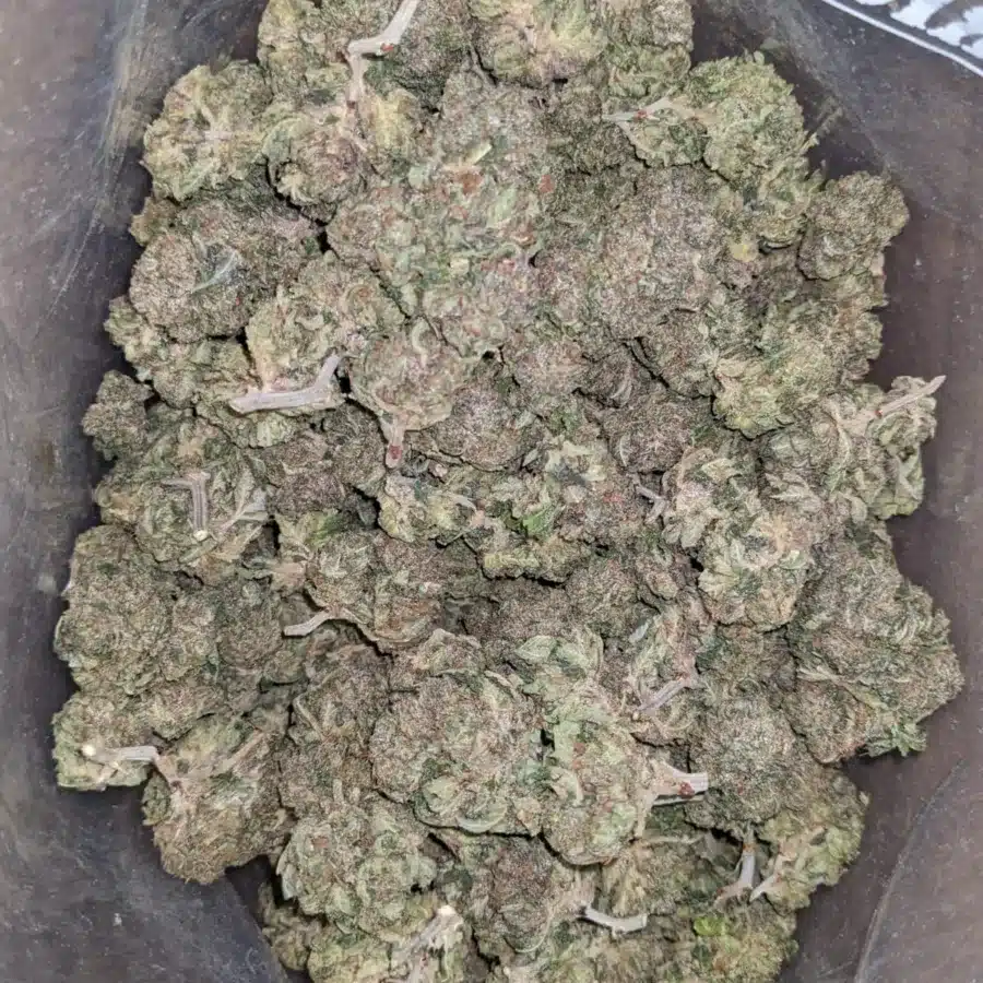 Pink Kush