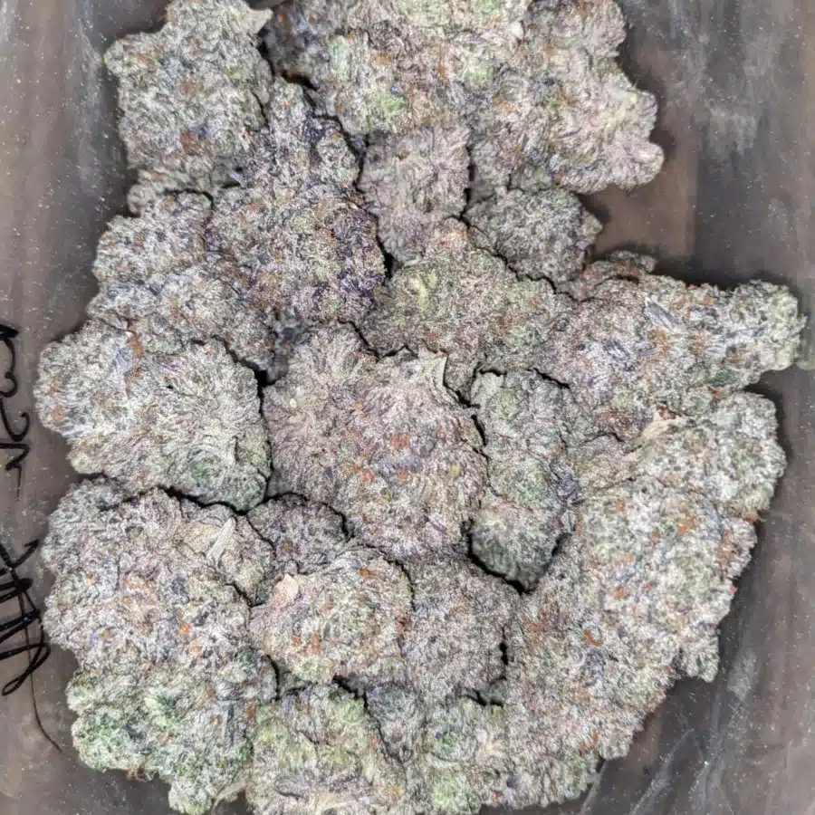 Pink Rockstar 1 I Pink Rockstar