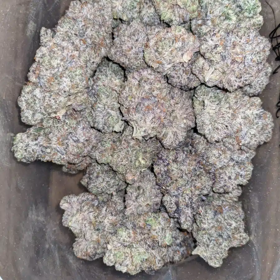 Pink Rockstar