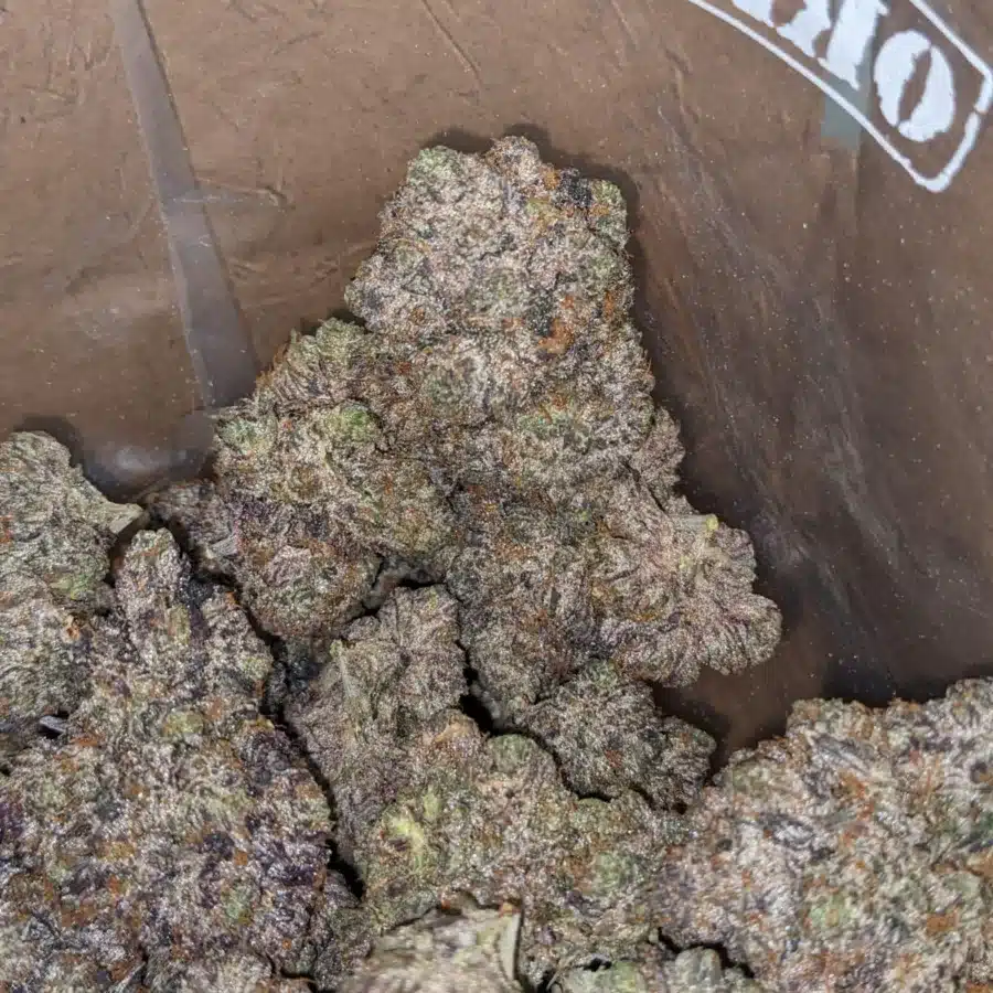 Alternative view of Pink Rockstar