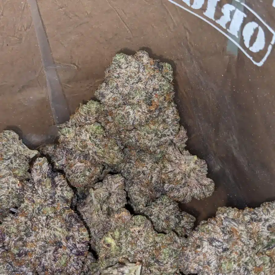 Pink Rockstar 4 I Pink Rockstar